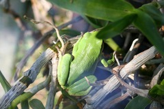 Killikus&reg; Fotographie